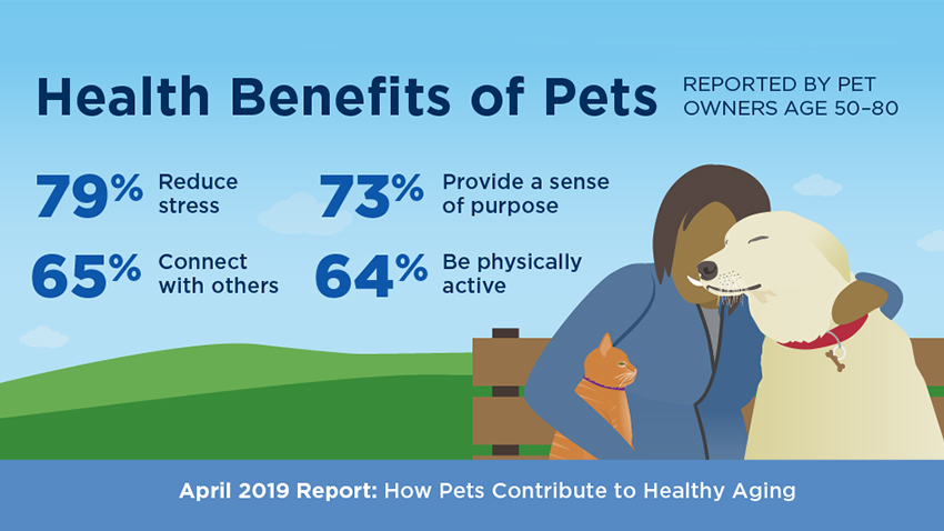 How does owning a pet affect physical health?