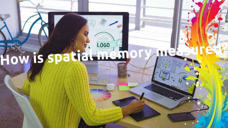 How is spatial memory measured?