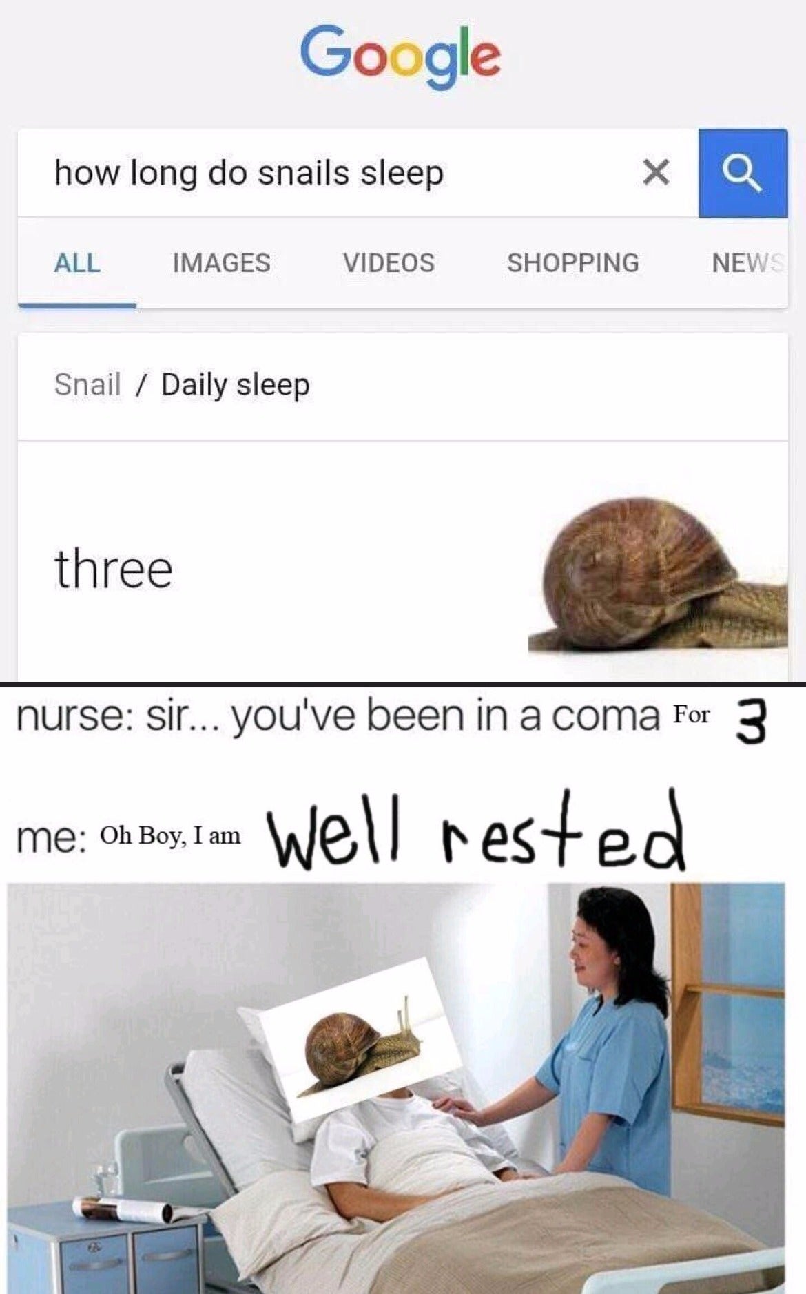 How long can a snail sleep riddle?