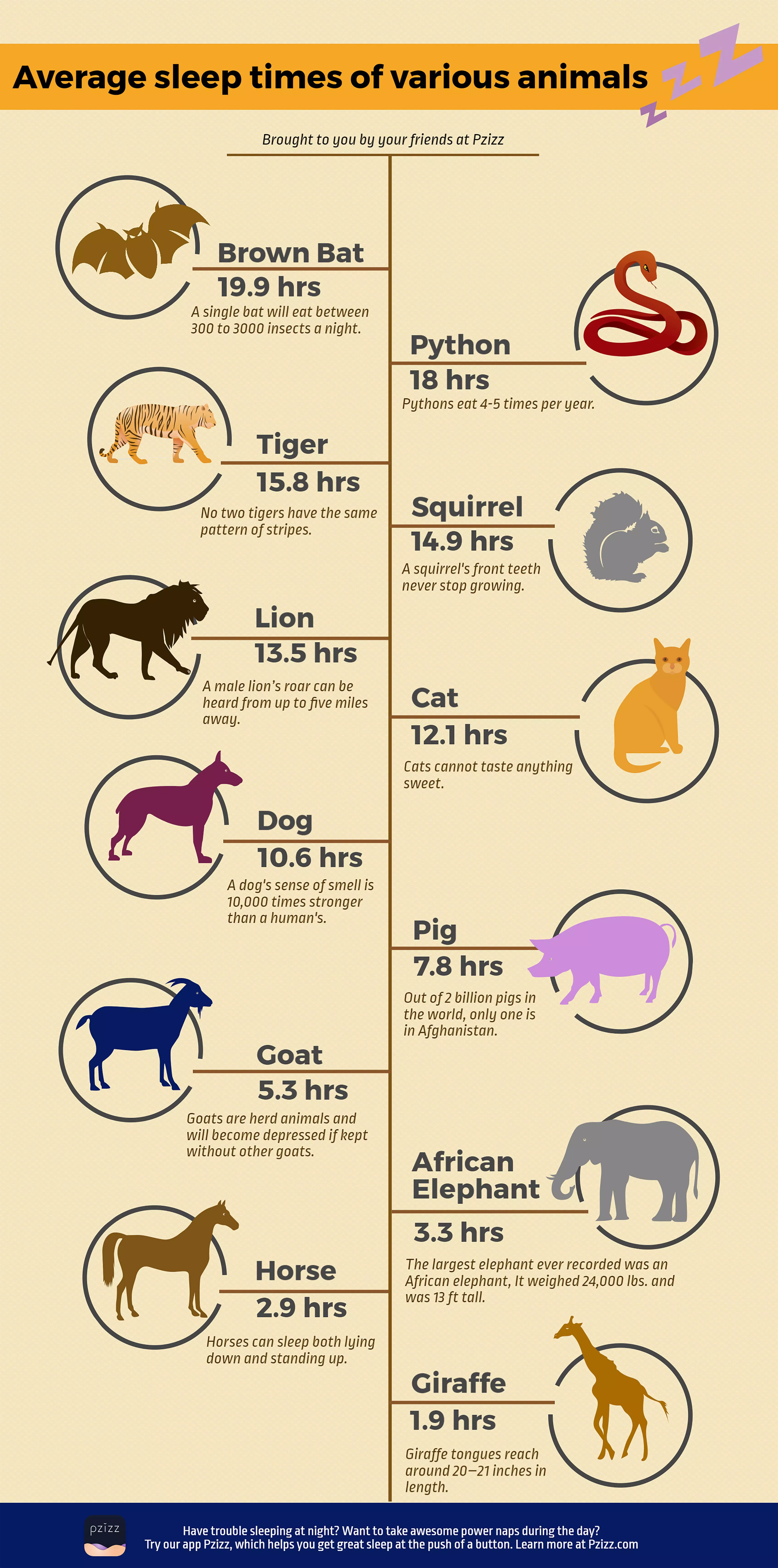 How many hours a day do most animals sleep?