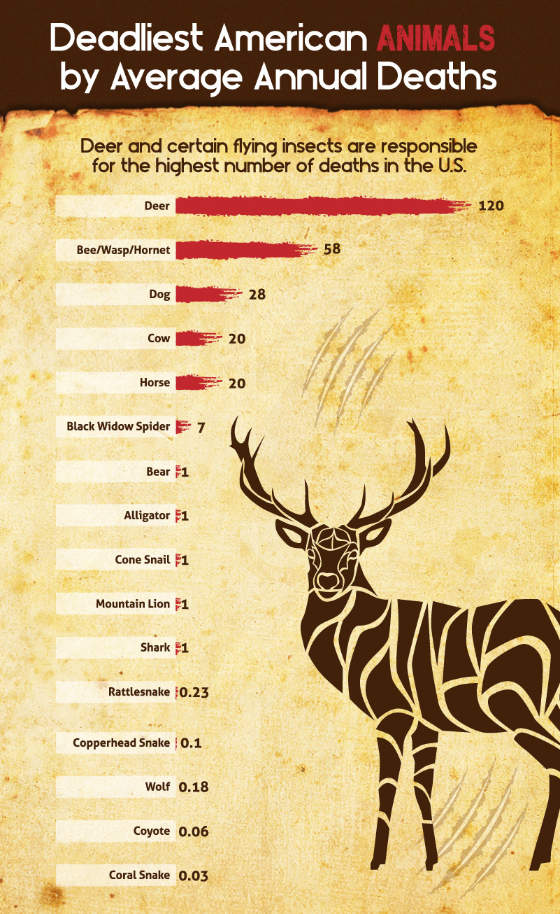 How many people are killed by deer each year?