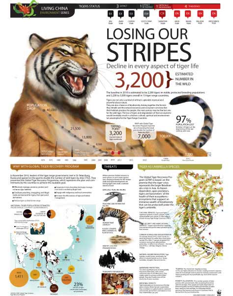 How many tigers are there in the world in 2021?