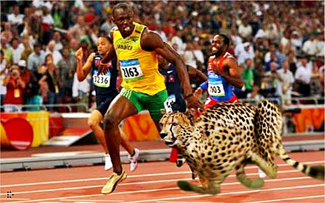 How many times faster is a cheetah than Usain Bolt?