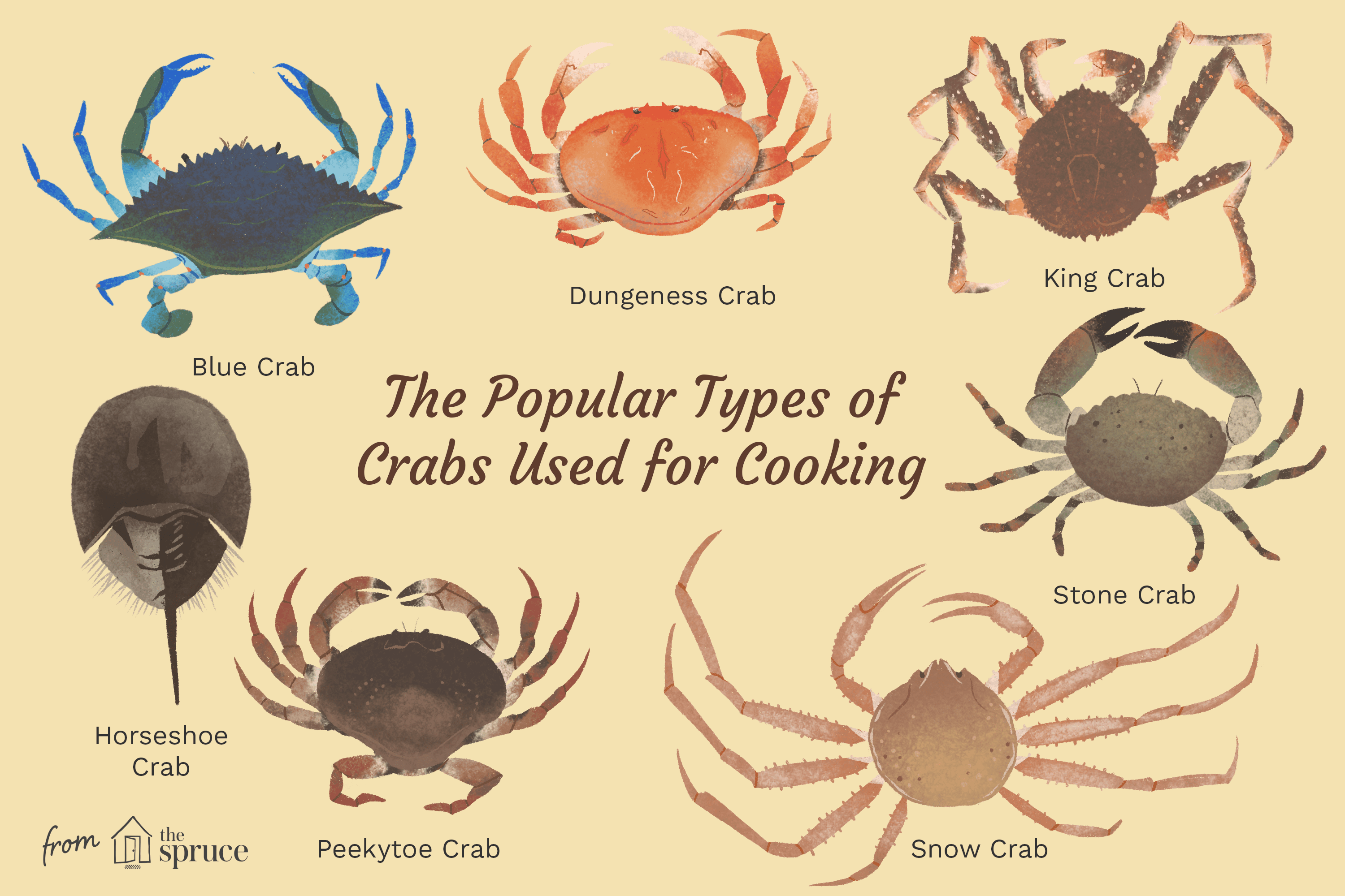 How many types of claws do crabs have?