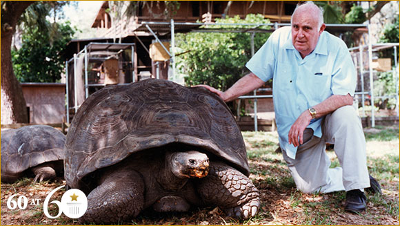 How much does the world's biggest tortoise weigh?