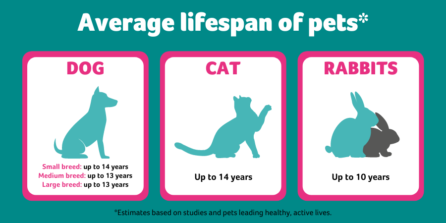 How much longer do you live if you have a pet?