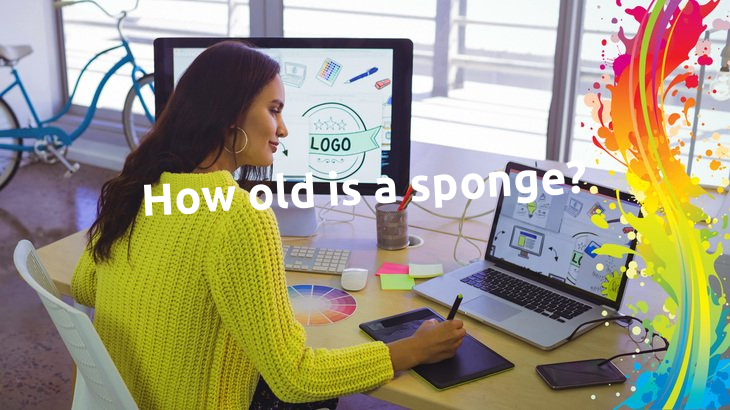 How old is a sponge?
