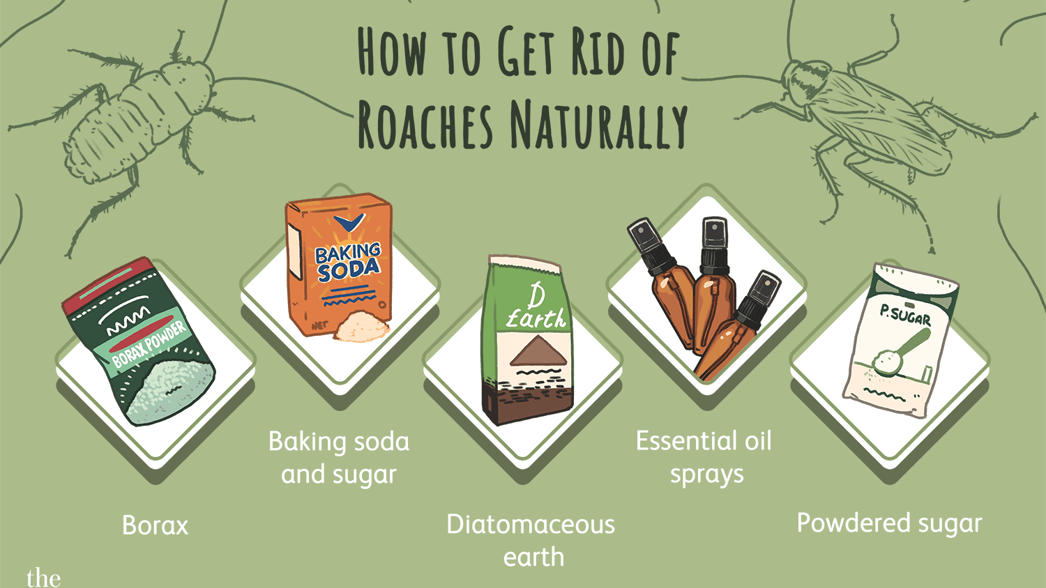 How to get rid of roaches naturally at home?