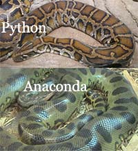 Is a rock python bigger than an anaconda?