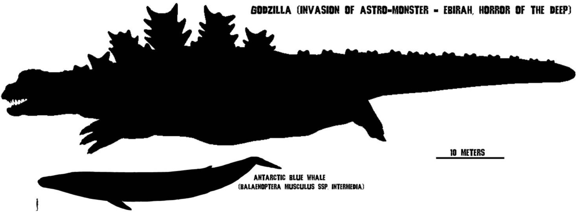 Is Godzilla bigger than a blue whale?