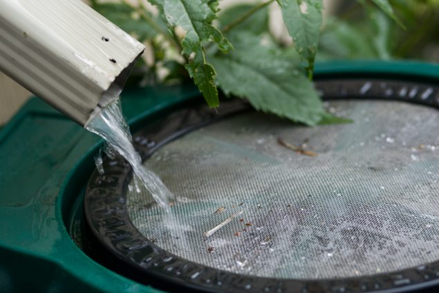 Is rainwater safe to drink from a cistern?