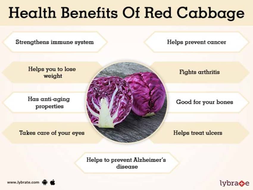 Is red cabbage better for you than white cabbage?