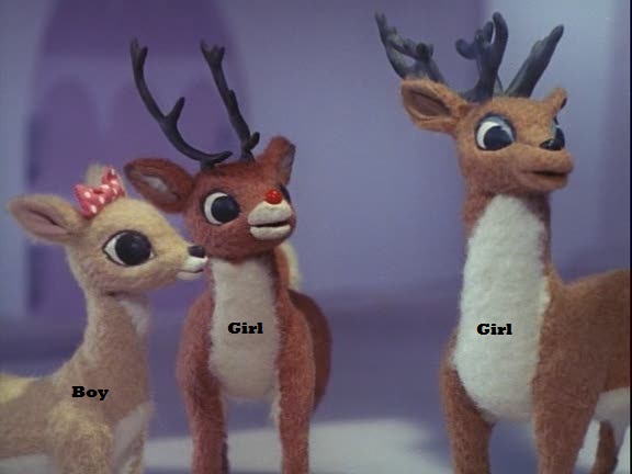 Is Rudolph a boy or a girl?
