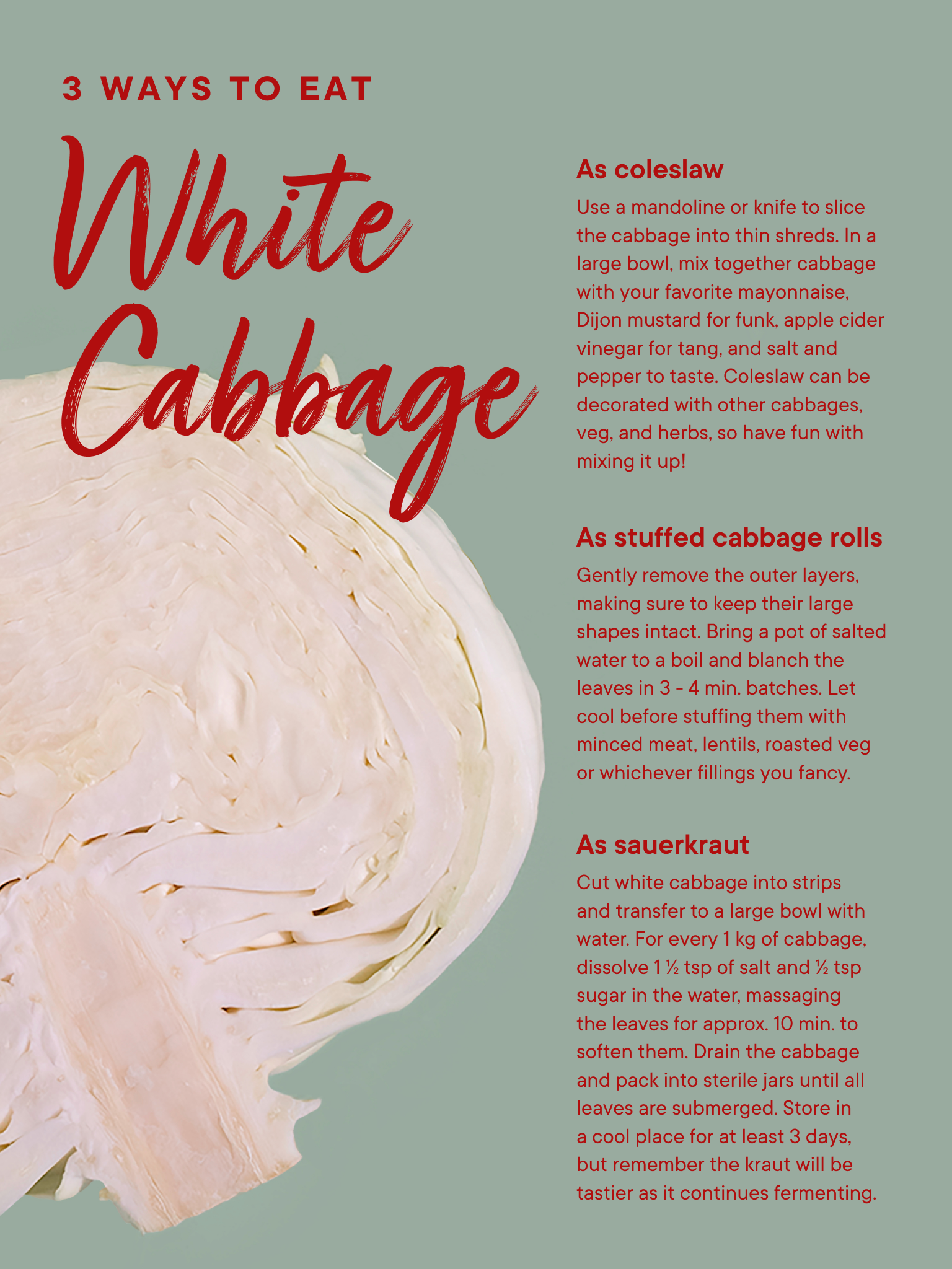 Is there such a thing as white cabbage?