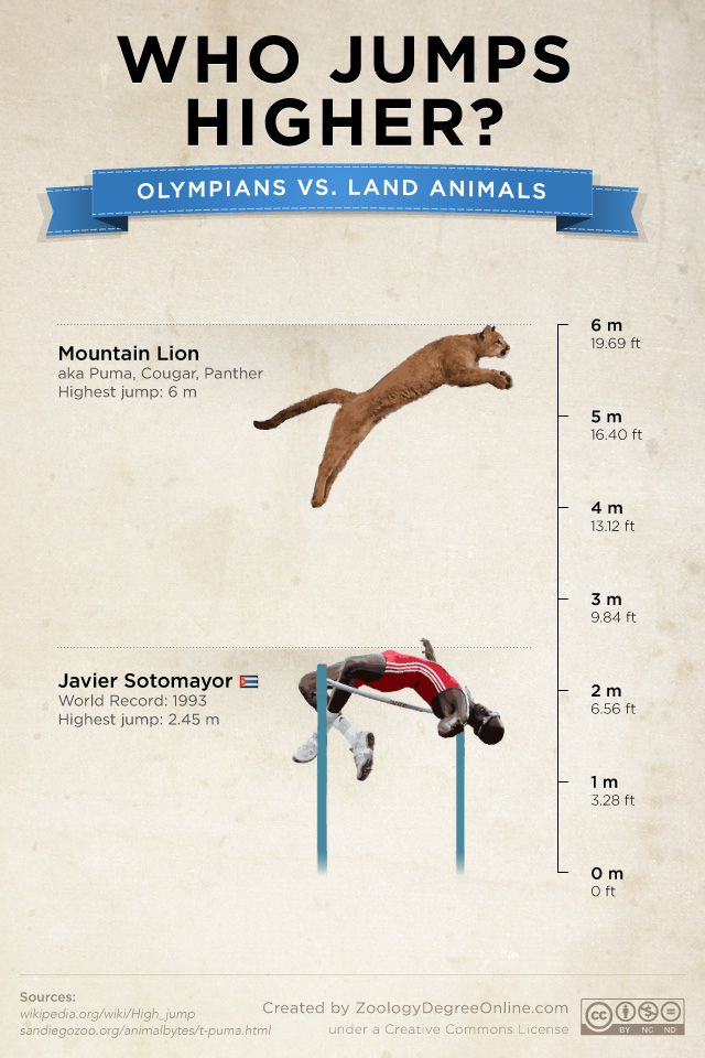 What animal jumps quickly?
