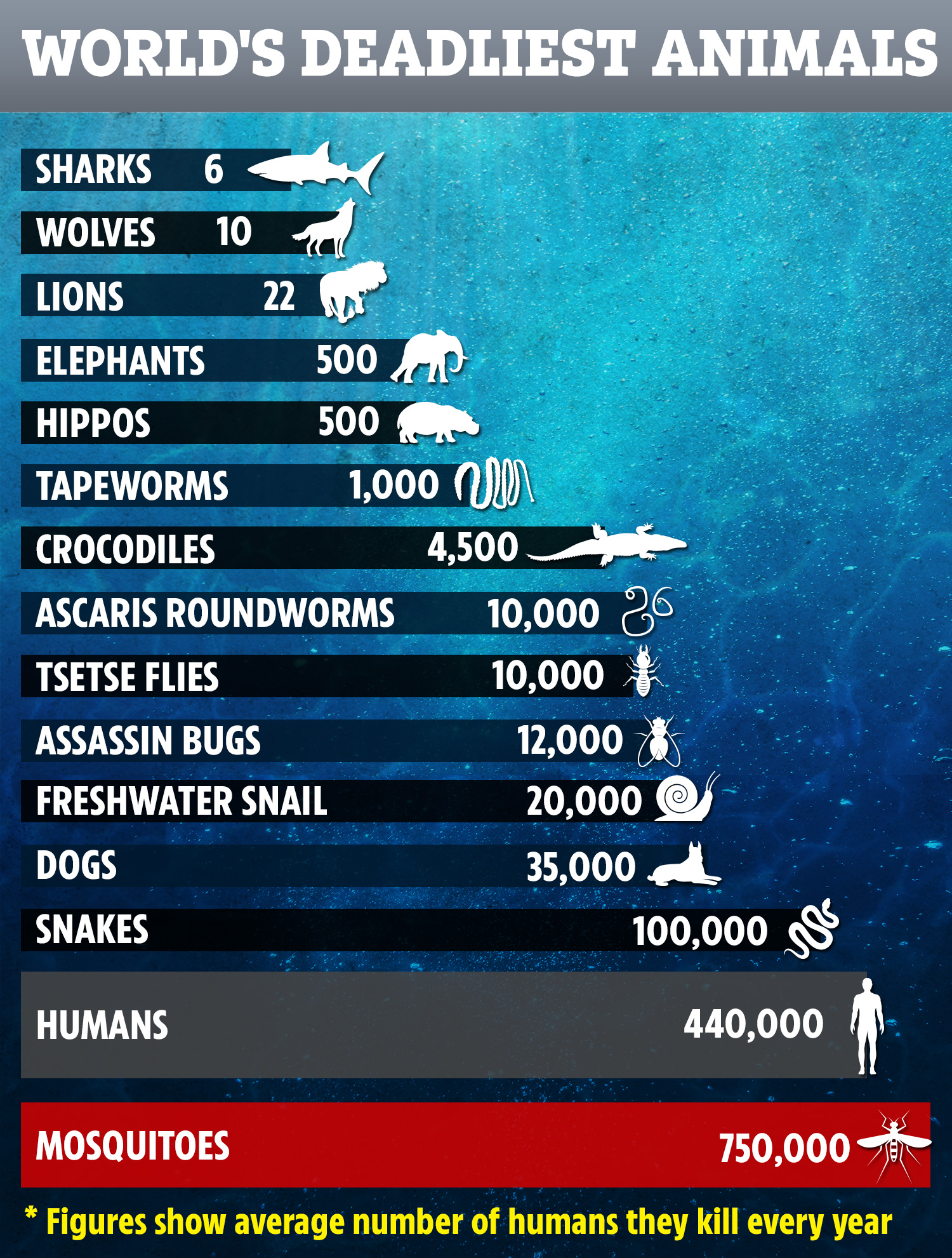 What animal killed the most humans in 2020?
