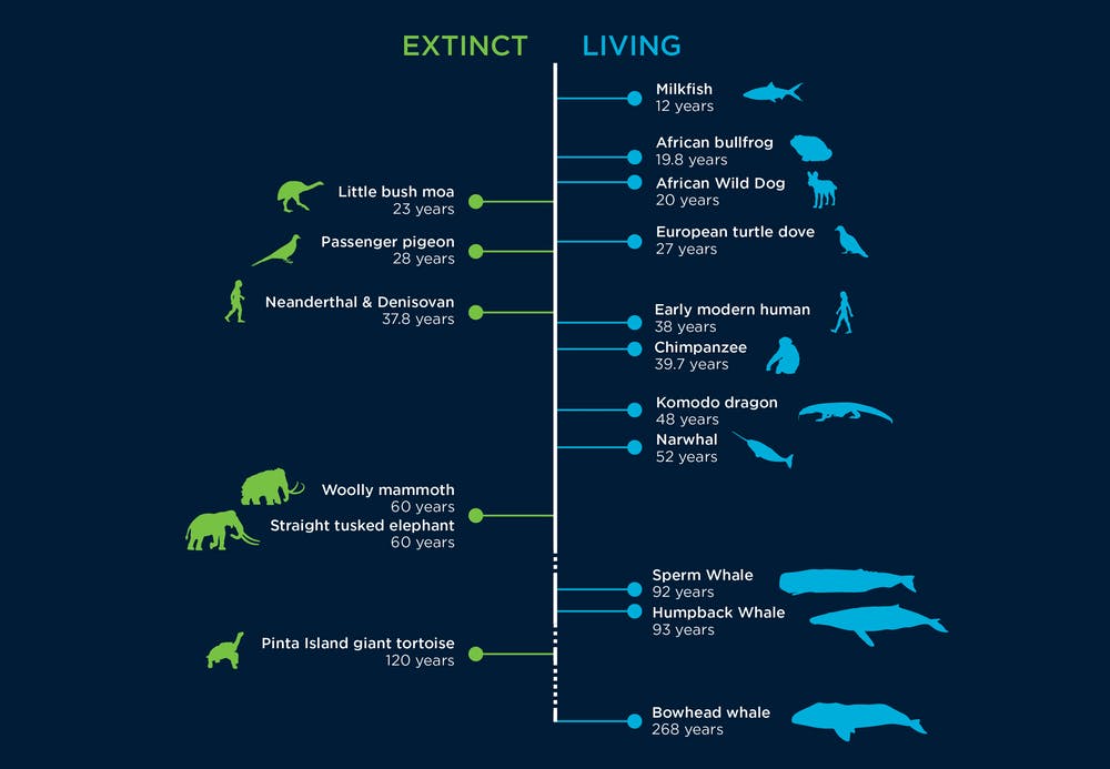 What animals have longer lifespans than humans?