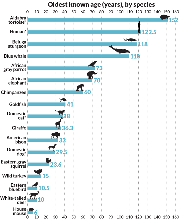 What animals life span is 16 years? [2022] 🐬 | Animalia-life.club
