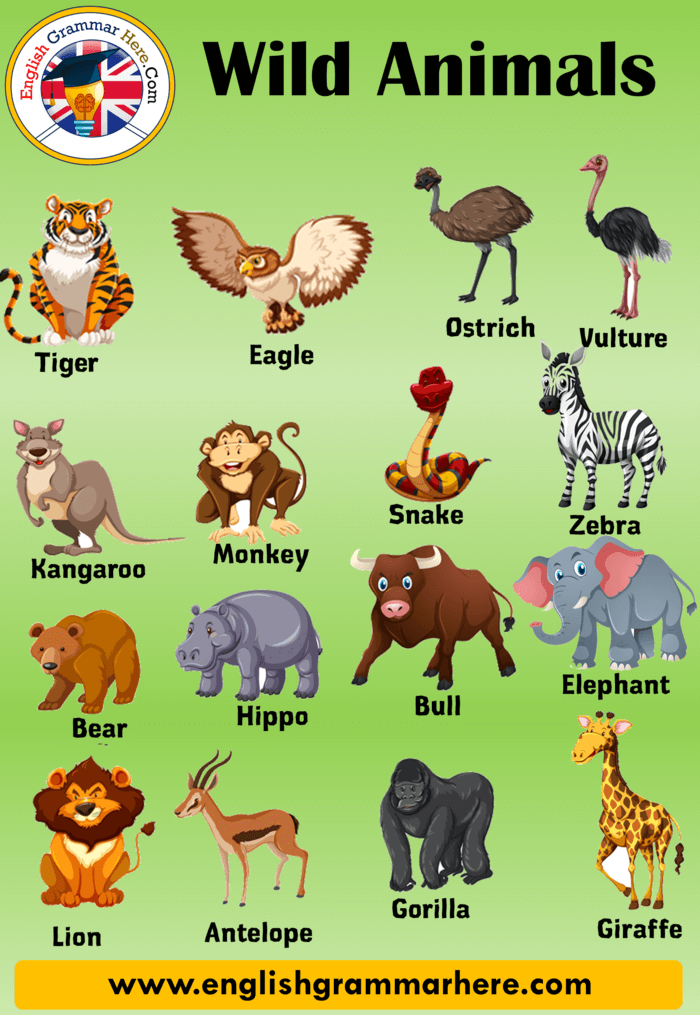 What are 10 animals name?