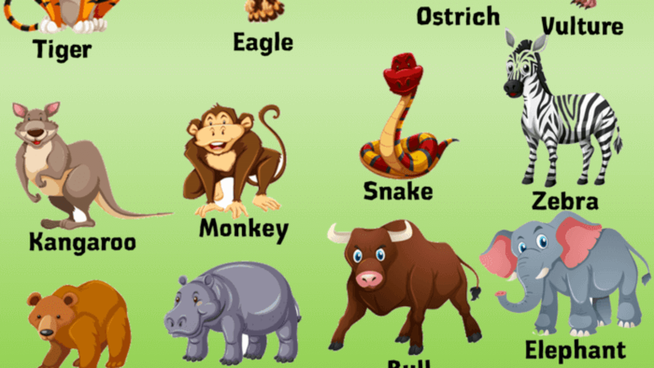 What are 10 animals?