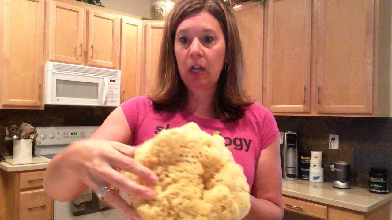 What are natural and artificial sponges?