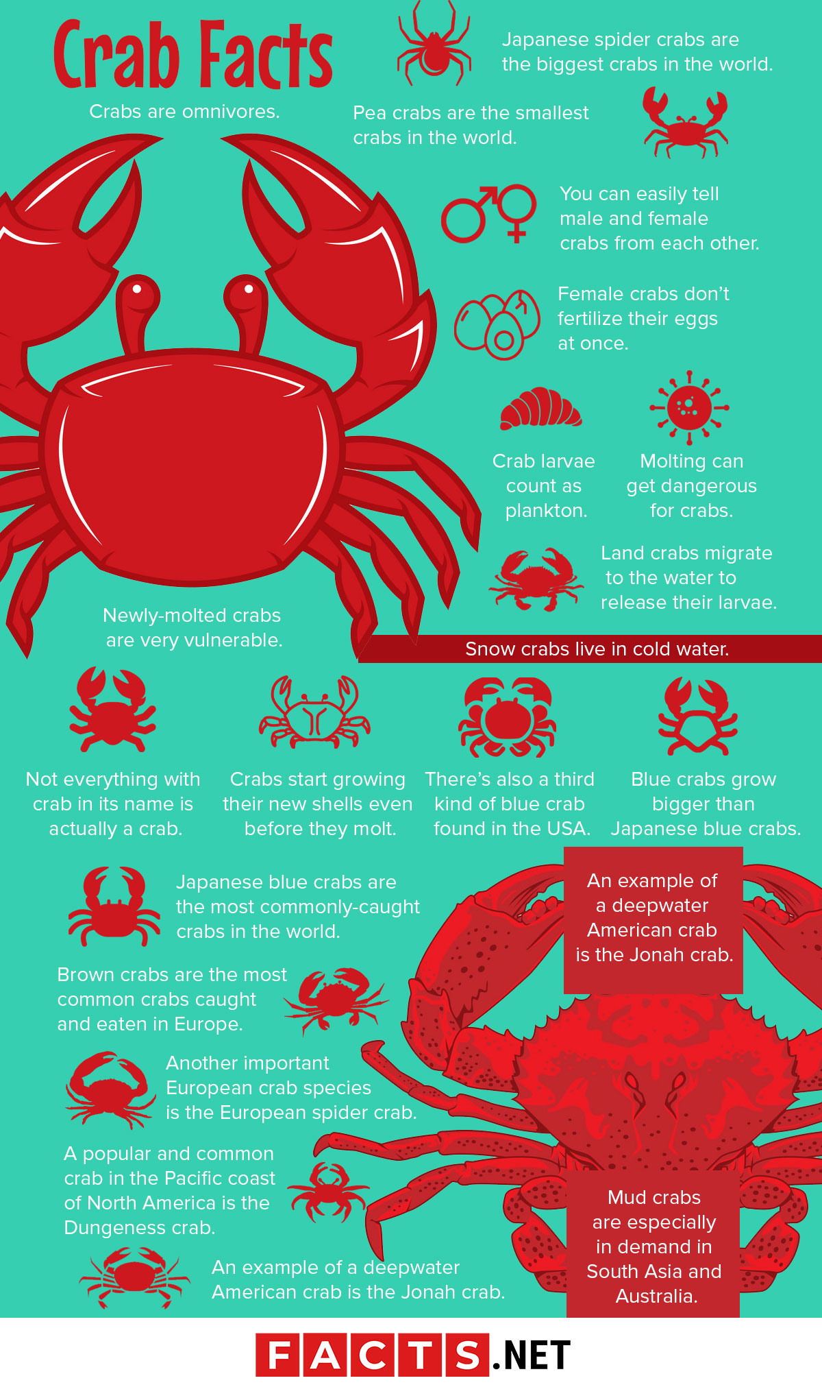 What are some fun facts about crabs?
