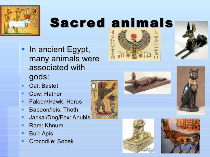 What are the 8 sacred animals of Egypt?