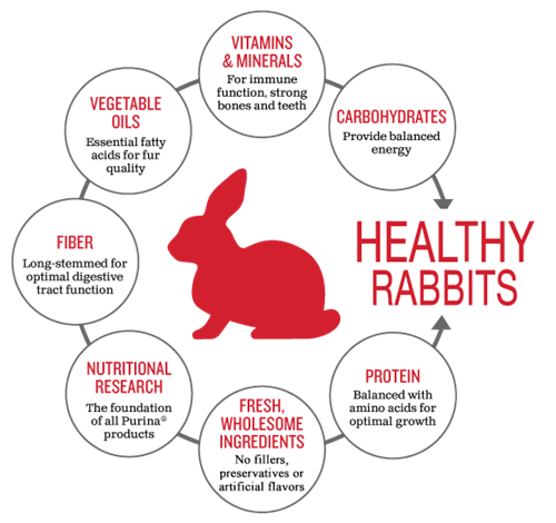 What are the best nutrients for rabbits?