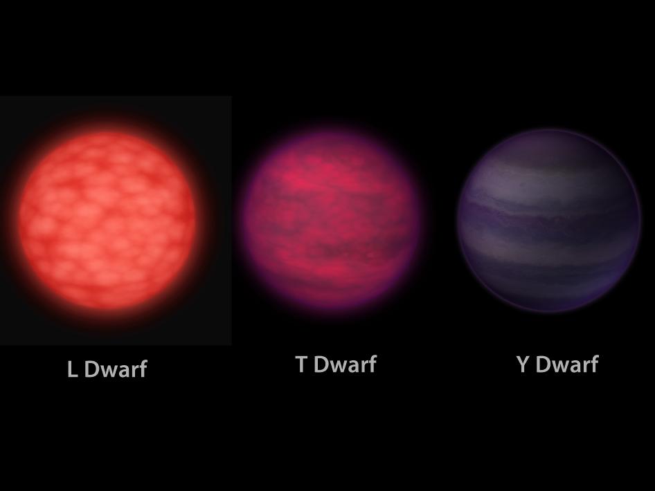 What are the different types of dwarf stars?