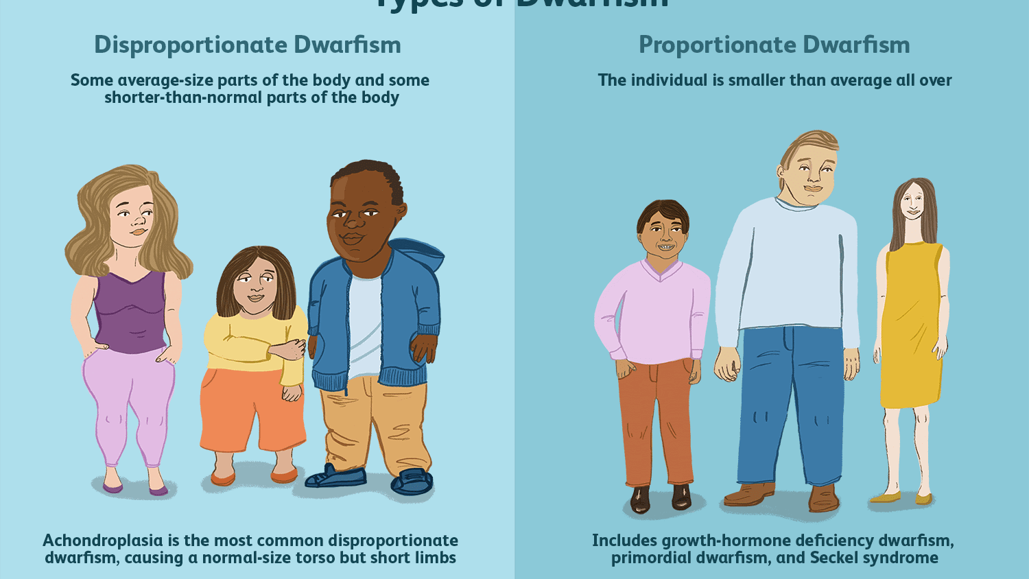 What are the different types of dwarfism?
