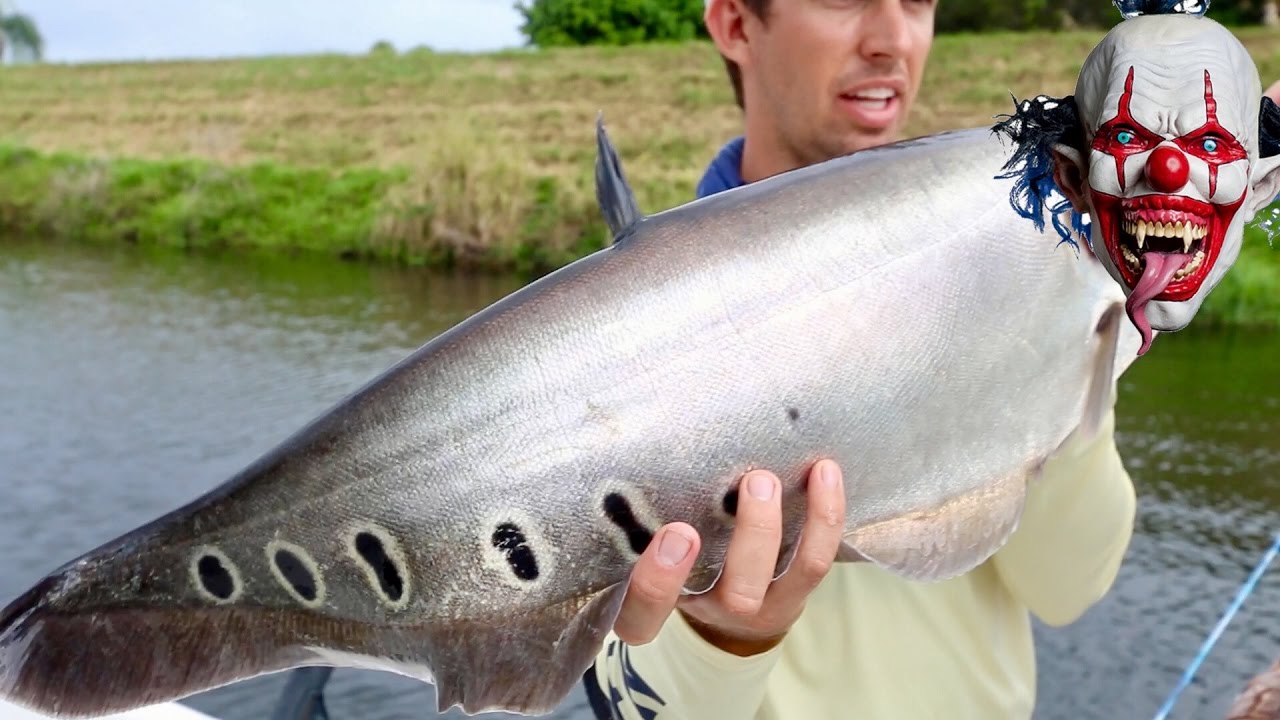 What are the rarest lake fish?