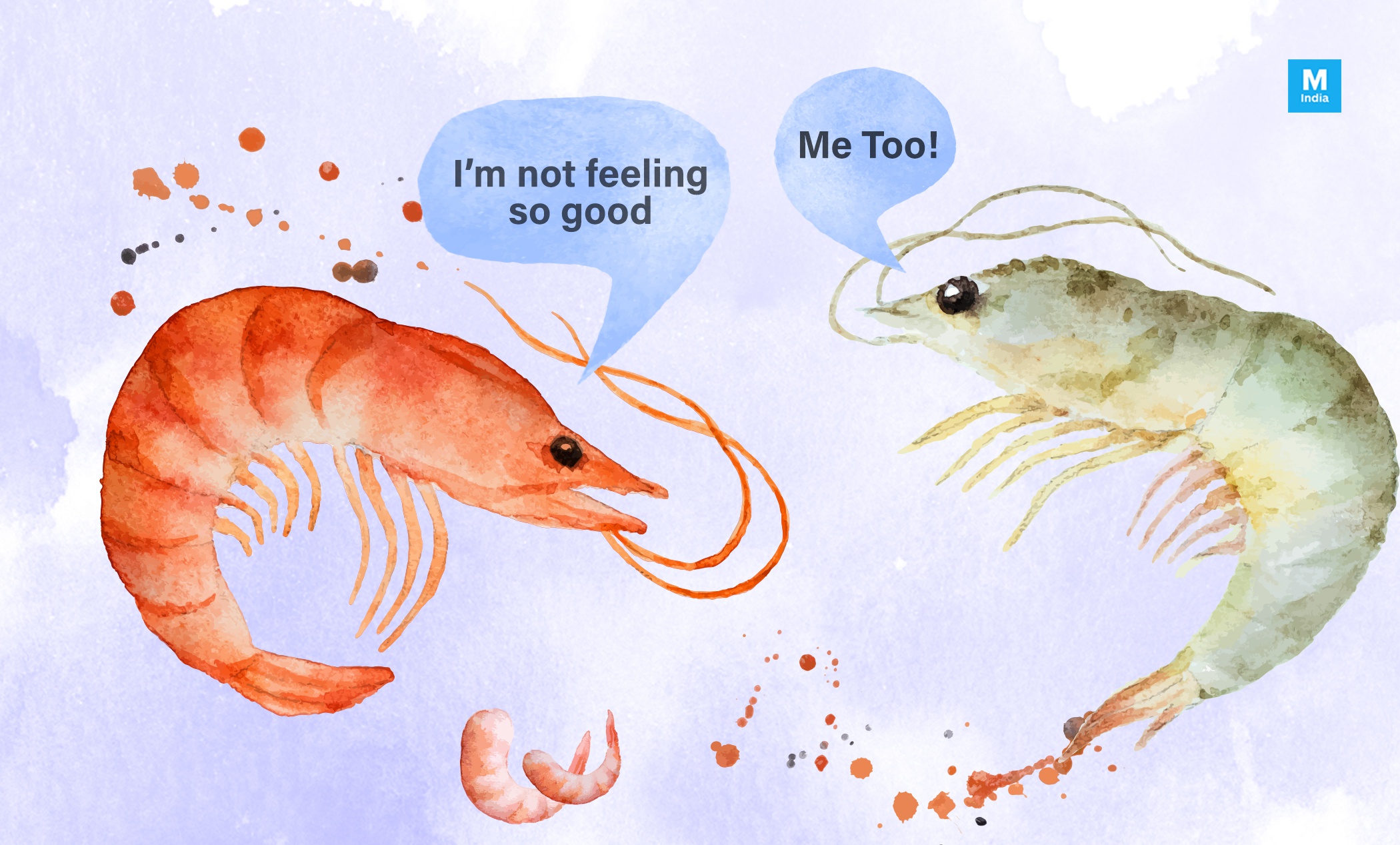 What are the side effects of eating shrimp?