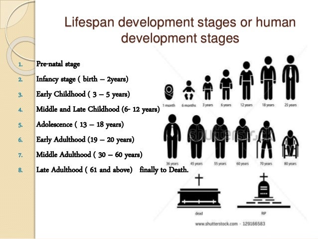 What are the stages of life span development?