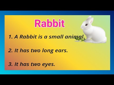 What can I write about rabbit?