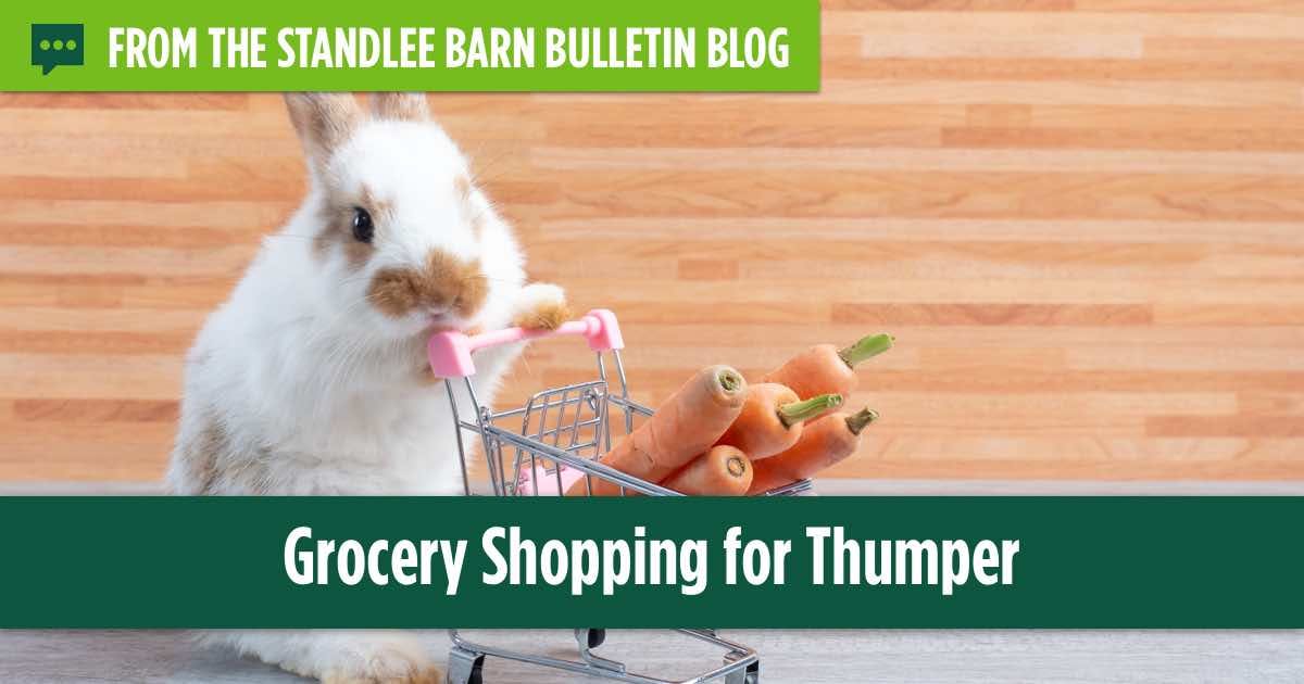 What can rabbits eat from the supermarket?