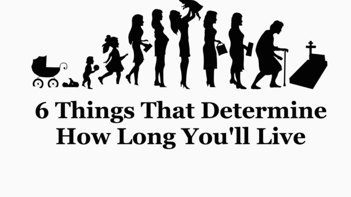 What determines how long something lives?