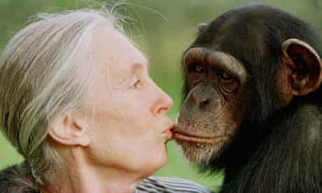 What did Jane Goodall name her chimps?