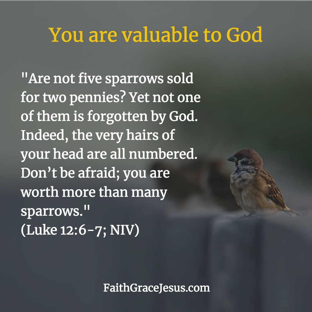 What dies the Bible say about sparrows?