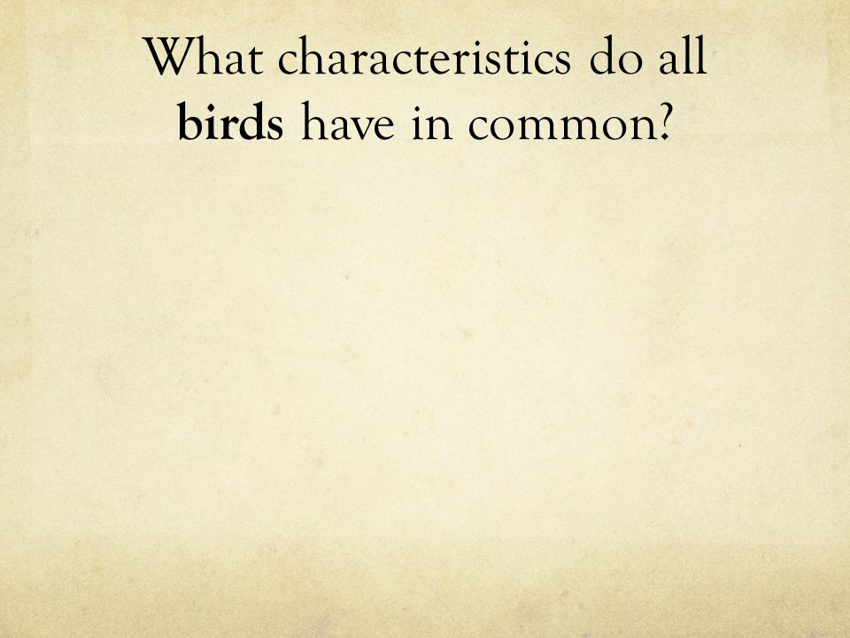 What do most birds have in common?