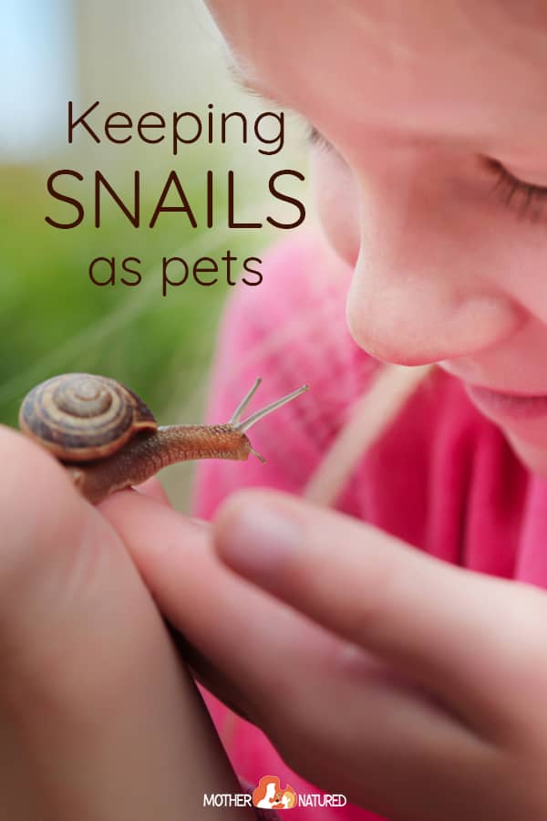 What do snails need to live?