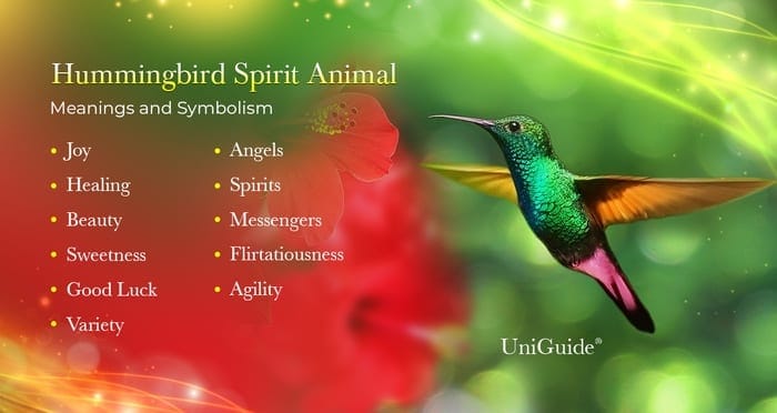 What does a hummingbird symbolize in Native American culture?