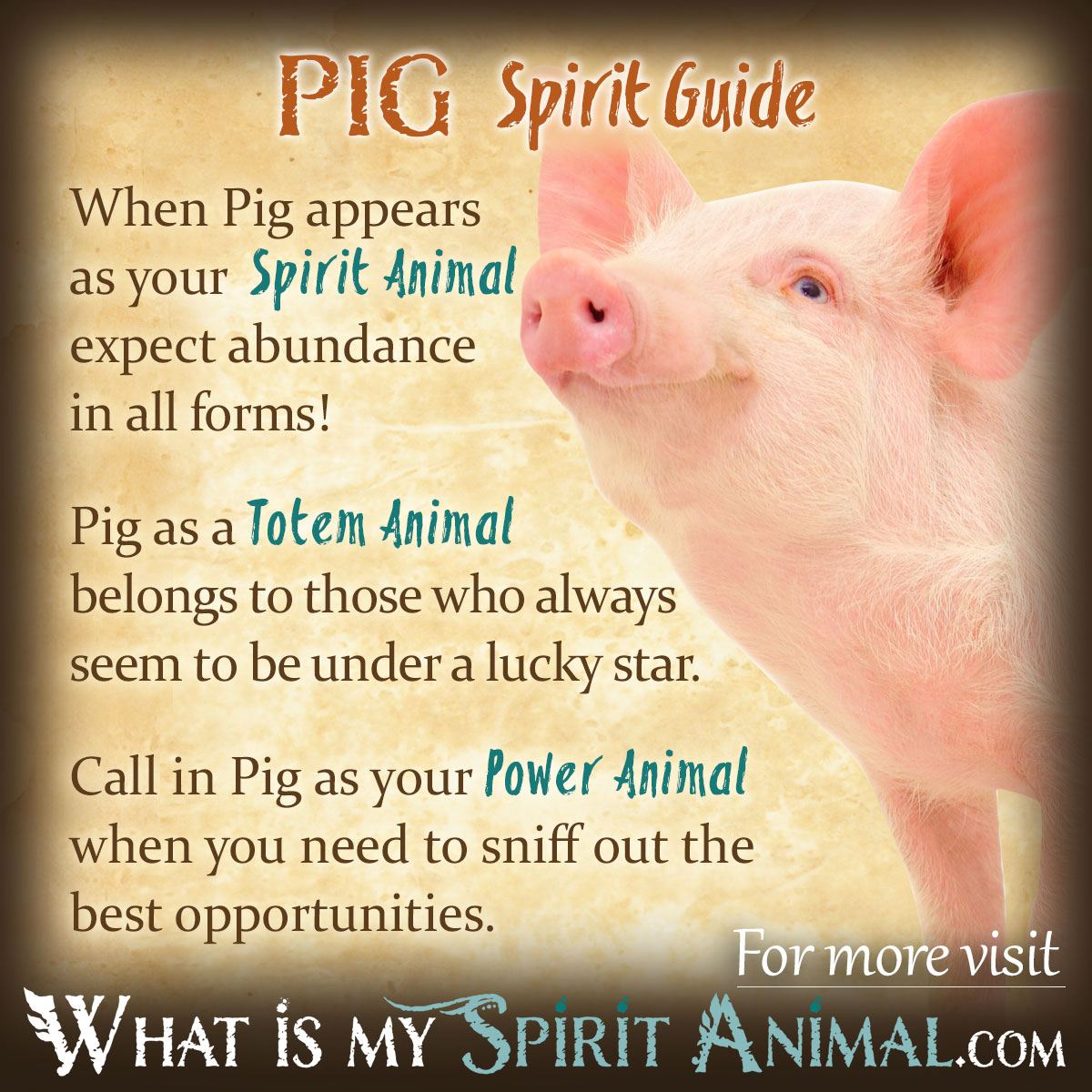 What does a pig usually symbolize?