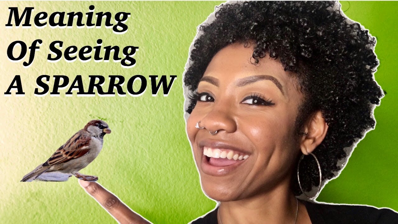 What does a sparrow mean spiritually?