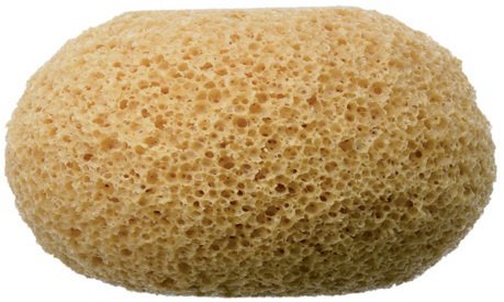 What does it mean if someone calls you a sponge?