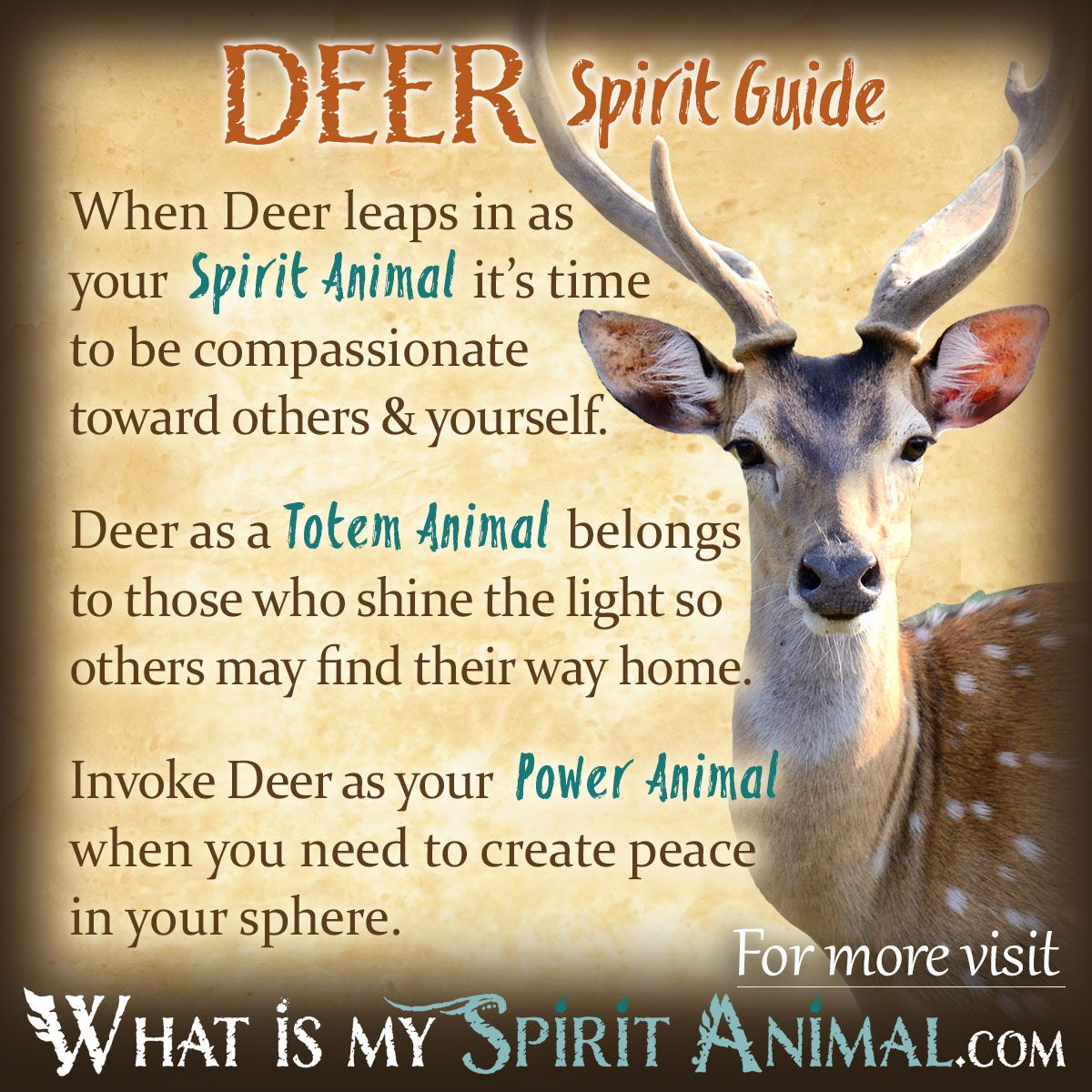 What does it mean to have a deer as Your Totem?