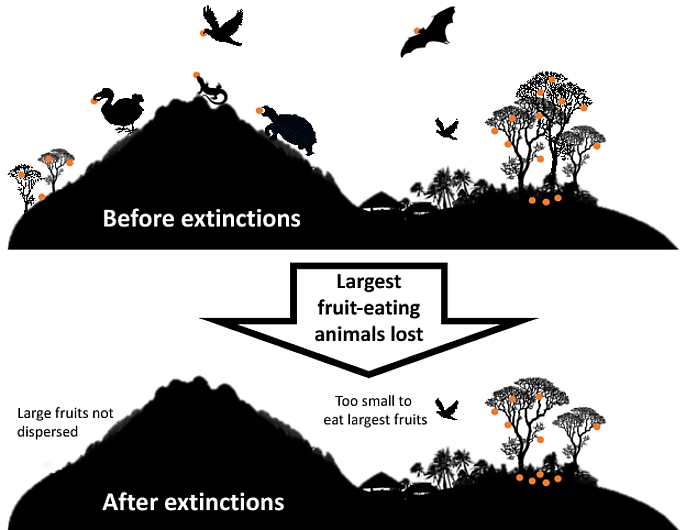 What does it mean when a species becomes extinct?