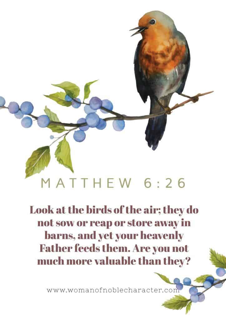 What does Jesus say about the sparrow?