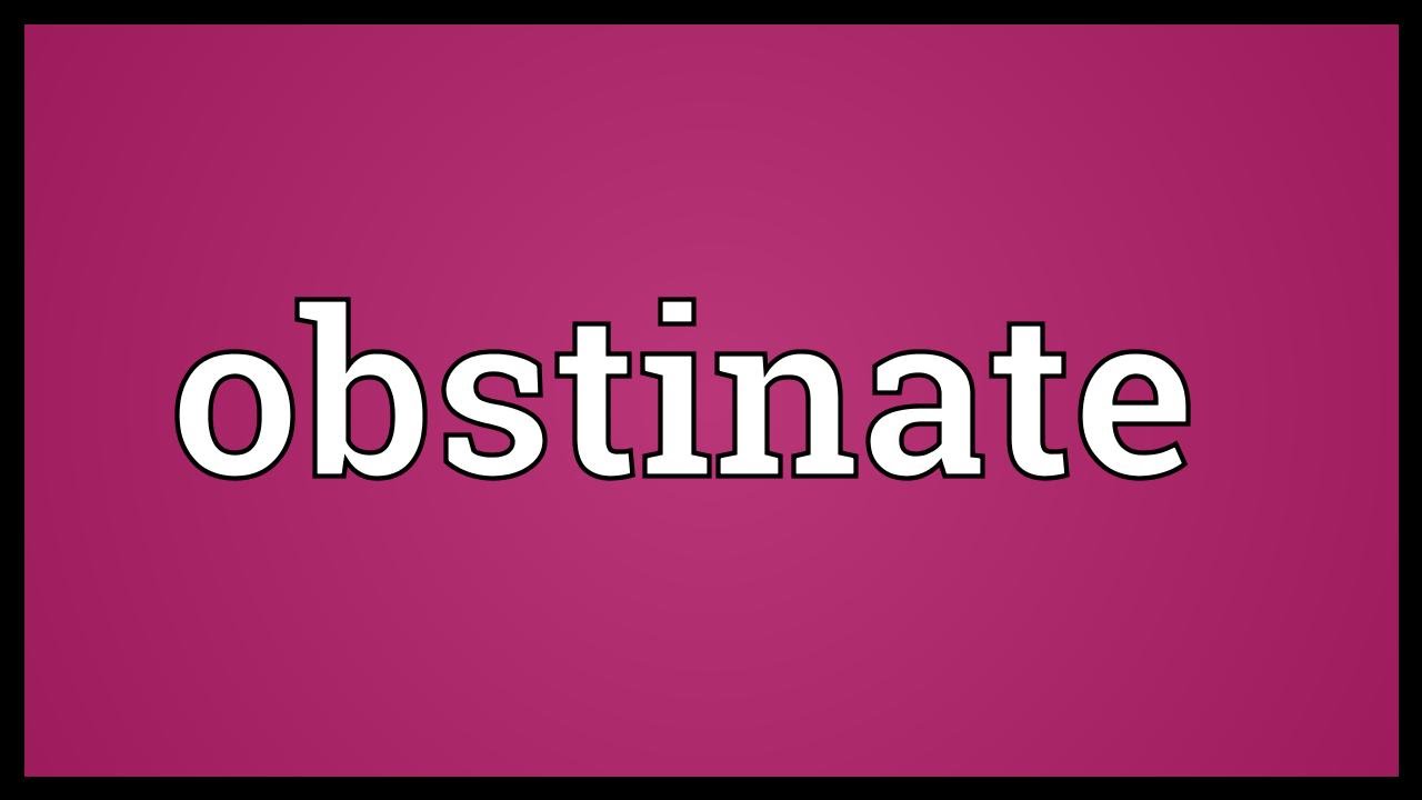 What does obstinate mean?