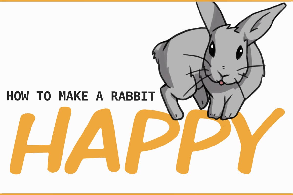 What food makes rabbits happy?