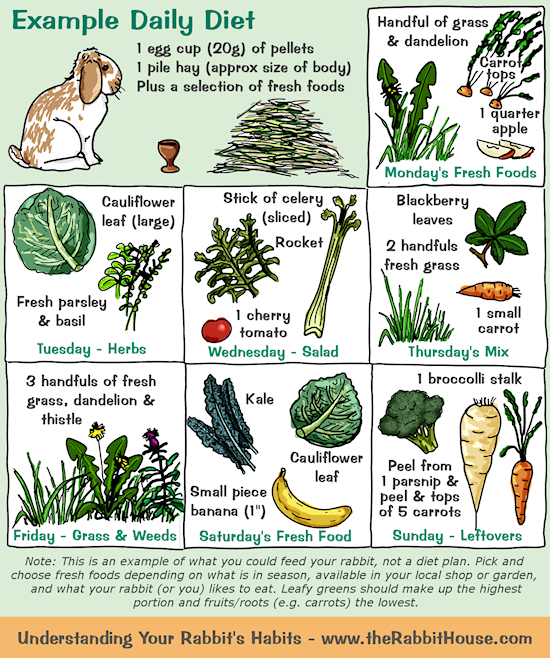 What greens are bad for rabbits?